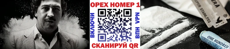 Купить где  Мензелинск  Кокаин Fish Scale 