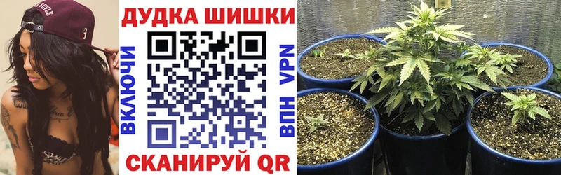 Бошки Шишки Bruce Banner  Купить закладки  Мензелинск 